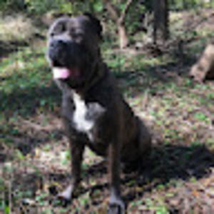 Meet your Posher, Lance